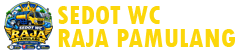 Sedot WC Raja Pamulang